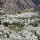 阿坝旅游 缩略图 1