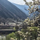 阿坝旅游 缩略图 8