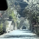 阿坝旅游 缩略图 9
