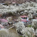 阿坝旅游 缩略图 2