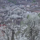 林芝旅游 缩略图 4
