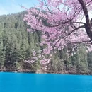 阿坝旅游 缩略图 4