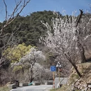 北京旅游 缩略图 6