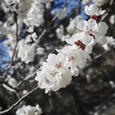 北京旅游 缩略图 7