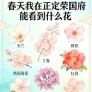 石家庄旅游 缩略图 1