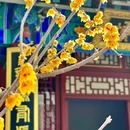 石家庄旅游 缩略图 2