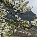 阿坝旅游 缩略图 15