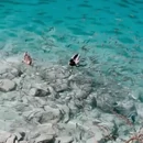 阿坝旅游 缩略图 7