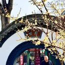 石家庄旅游 缩略图 3
