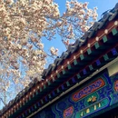 石家庄旅游 缩略图 4