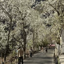 阿坝旅游 缩略图 7