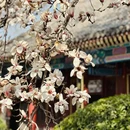 石家庄旅游 缩略图 5