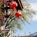阿坝旅游 缩略图 14