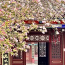 石家庄旅游 缩略图 11