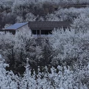 林芝旅游 缩略图 5