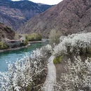 阿坝旅游 缩略图 5