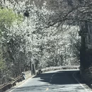 阿坝旅游 缩略图 12