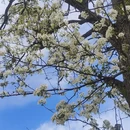 阿坝旅游 缩略图 2