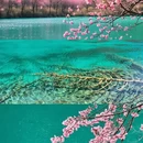 甘孜旅游 缩略图 6