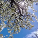 阿坝旅游 缩略图 6