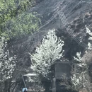 阿坝旅游 缩略图 13