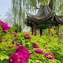 石家庄旅游 缩略图 14