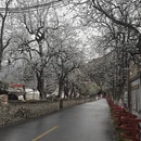 阿坝旅游 缩略图 10