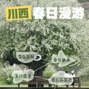 甘孜旅游 缩略图 1