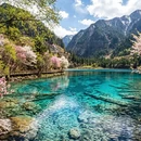 阿坝旅游 缩略图 3