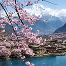 阿坝旅游 缩略图 2
