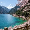 阿坝旅游 缩略图 4