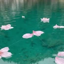 阿坝旅游 缩略图 5