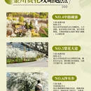 阿坝旅游 缩略图 3