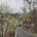 阿坝旅游 缩略图 4