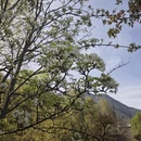 阿坝旅游 缩略图 9