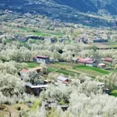 阿坝旅游 缩略图 7