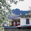阿坝旅游 缩略图 9
