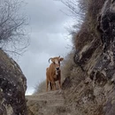 阿坝旅游 缩略图 11
