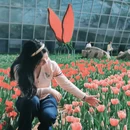石家庄旅游 缩略图 7