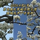 北京旅游 缩略图 1