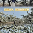 北京旅游 缩略图 3