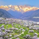 成都旅游 缩略图 10
