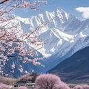 成都旅游 缩略图 9