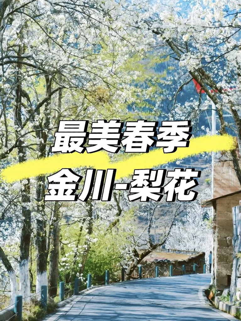 阿坝旅游