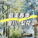 阿坝旅游 缩略图 1