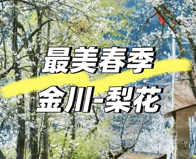 阿坝旅游 1