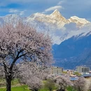 成都旅游 缩略图 13