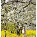 阿坝旅游 缩略图 6