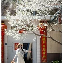 阿坝旅游 缩略图 7