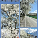阿坝旅游 缩略图 2
